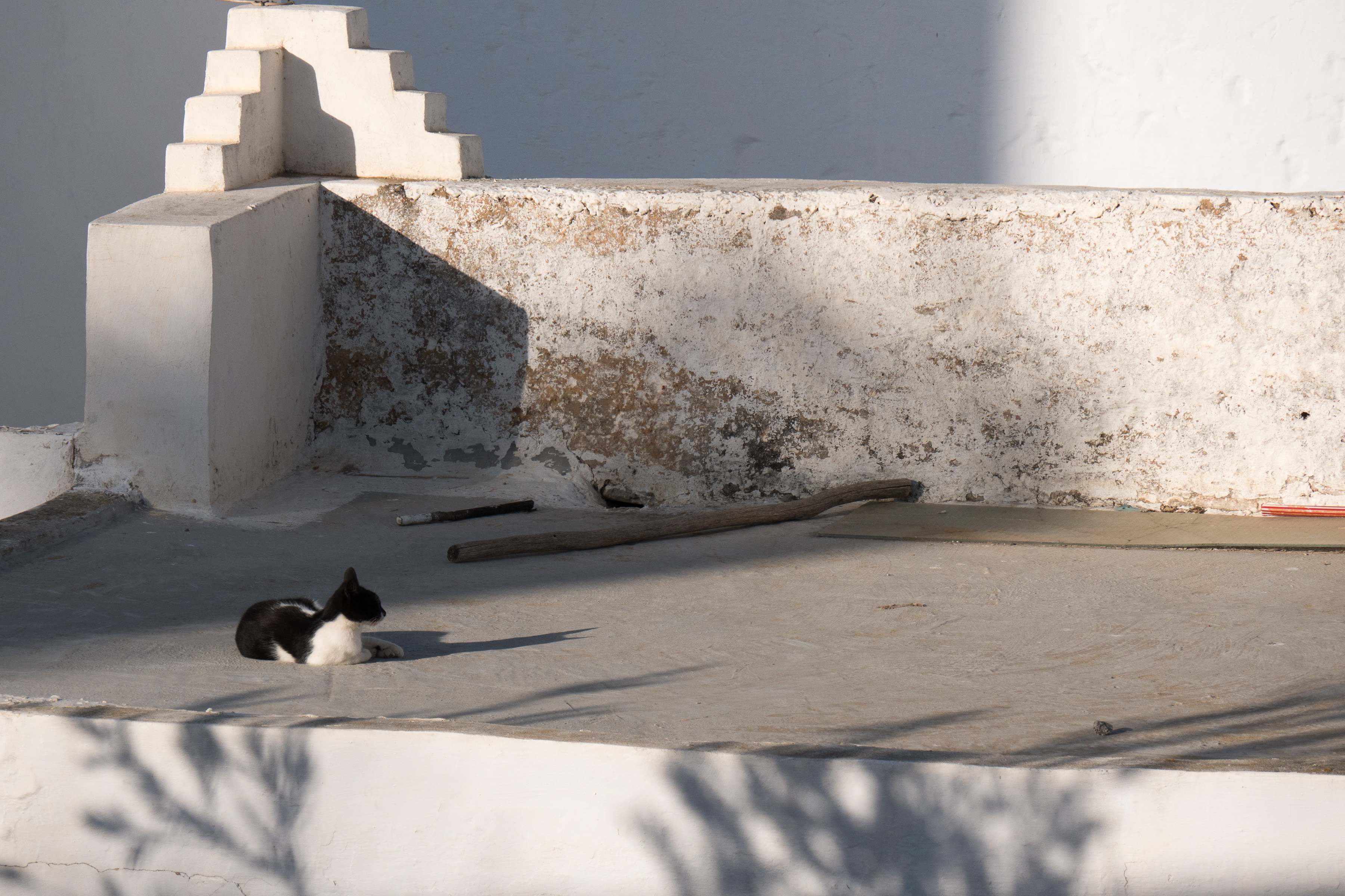 Impression - Asilah